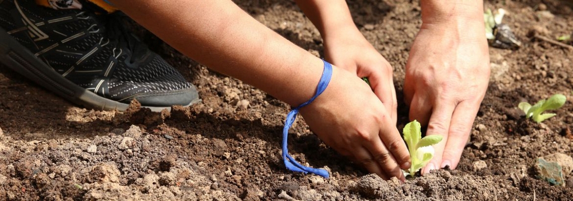 Curso orienta educadores sobre como levar a natureza para as escolas